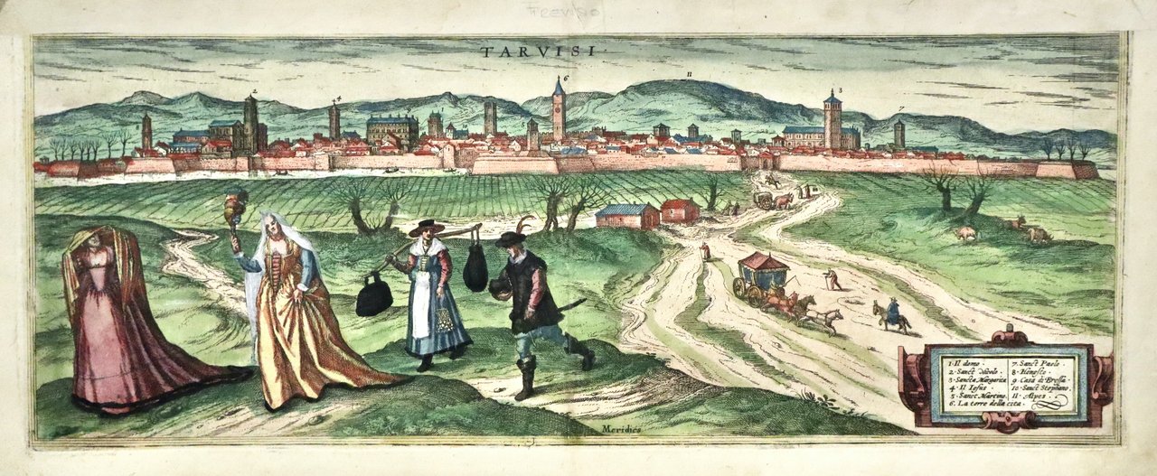 Tarvisi | Immagine principale