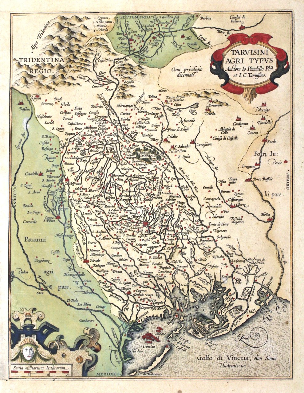 Tarvisini agri typus | Immagine principale