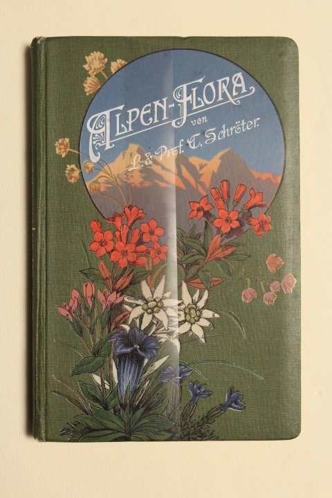 Taschenflora des Alpen-Wanderers…nach der Natur gezeichnet und gemalt…mit kurzen botanischen … | Immagine principale