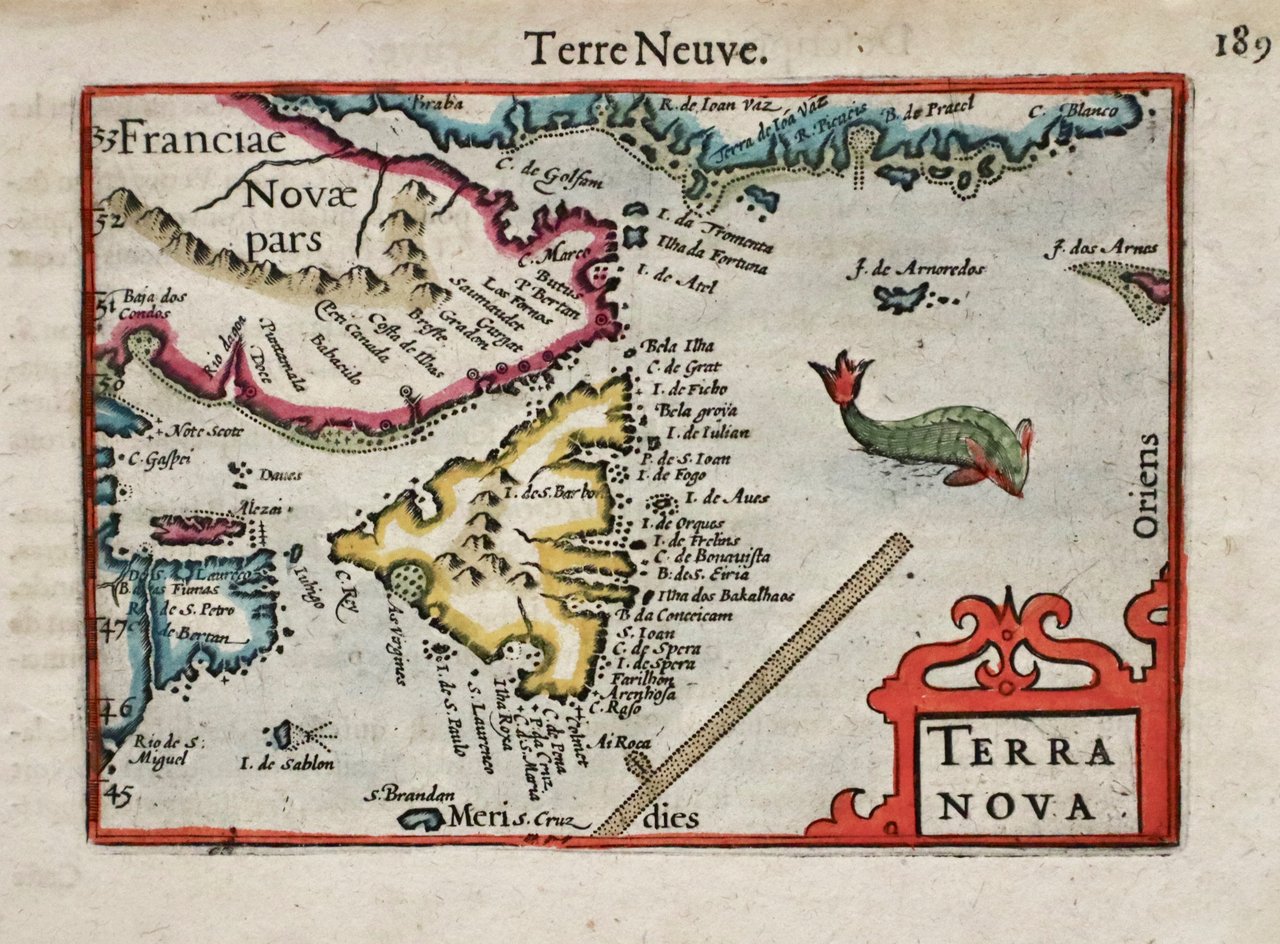 Terra nova