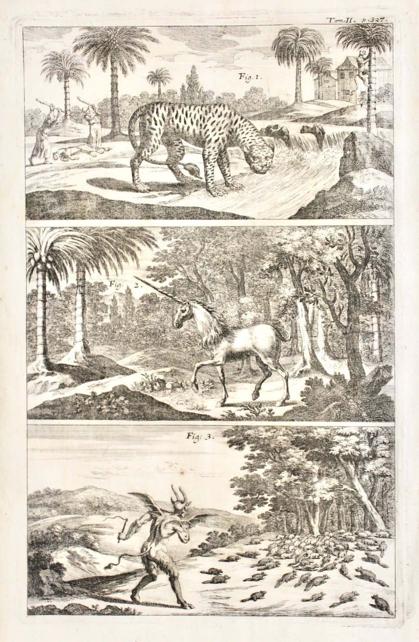 Unicorno | Immagine principale