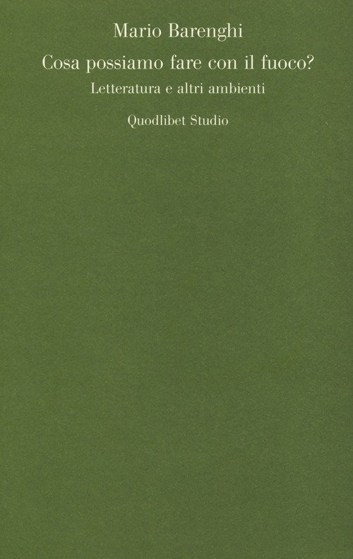 Cosa possiamo fare con il fuoco? Letteratura e altri ambienti