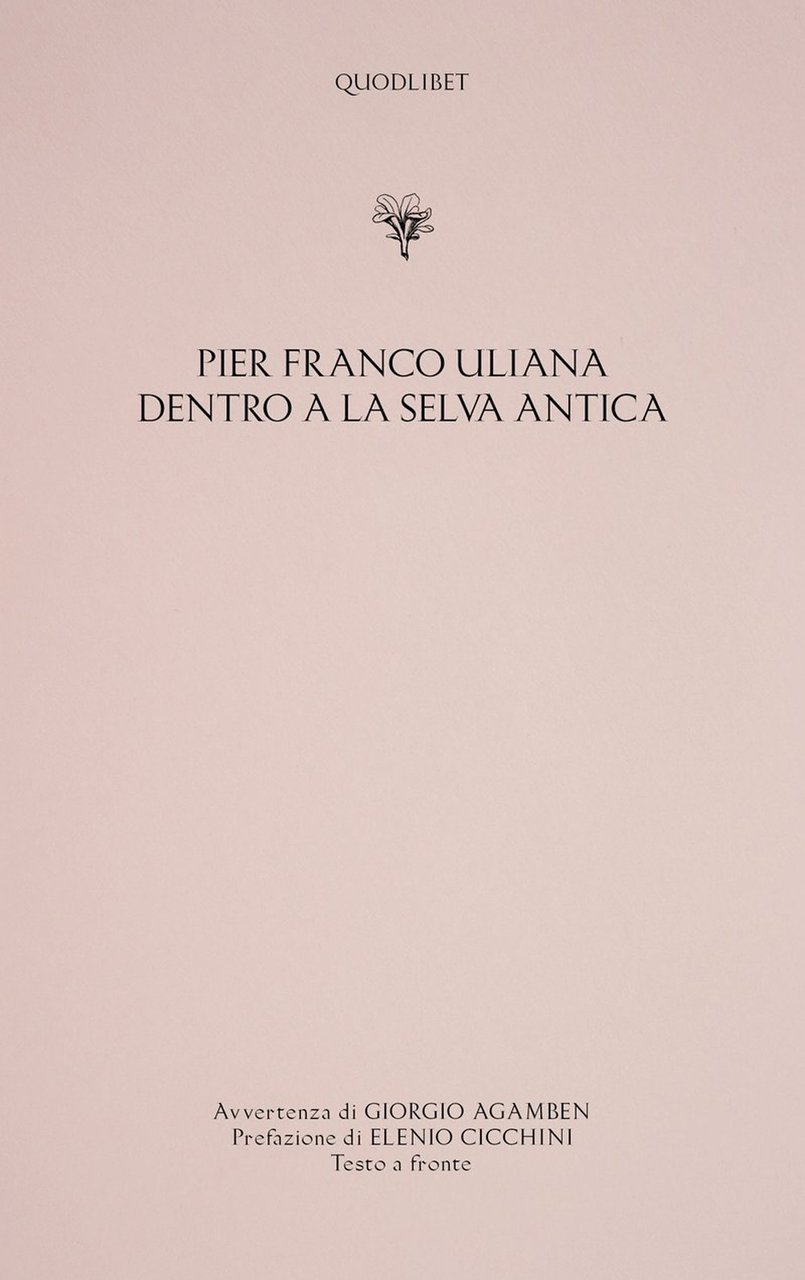 Dentro a la selva antica | Immagine principale