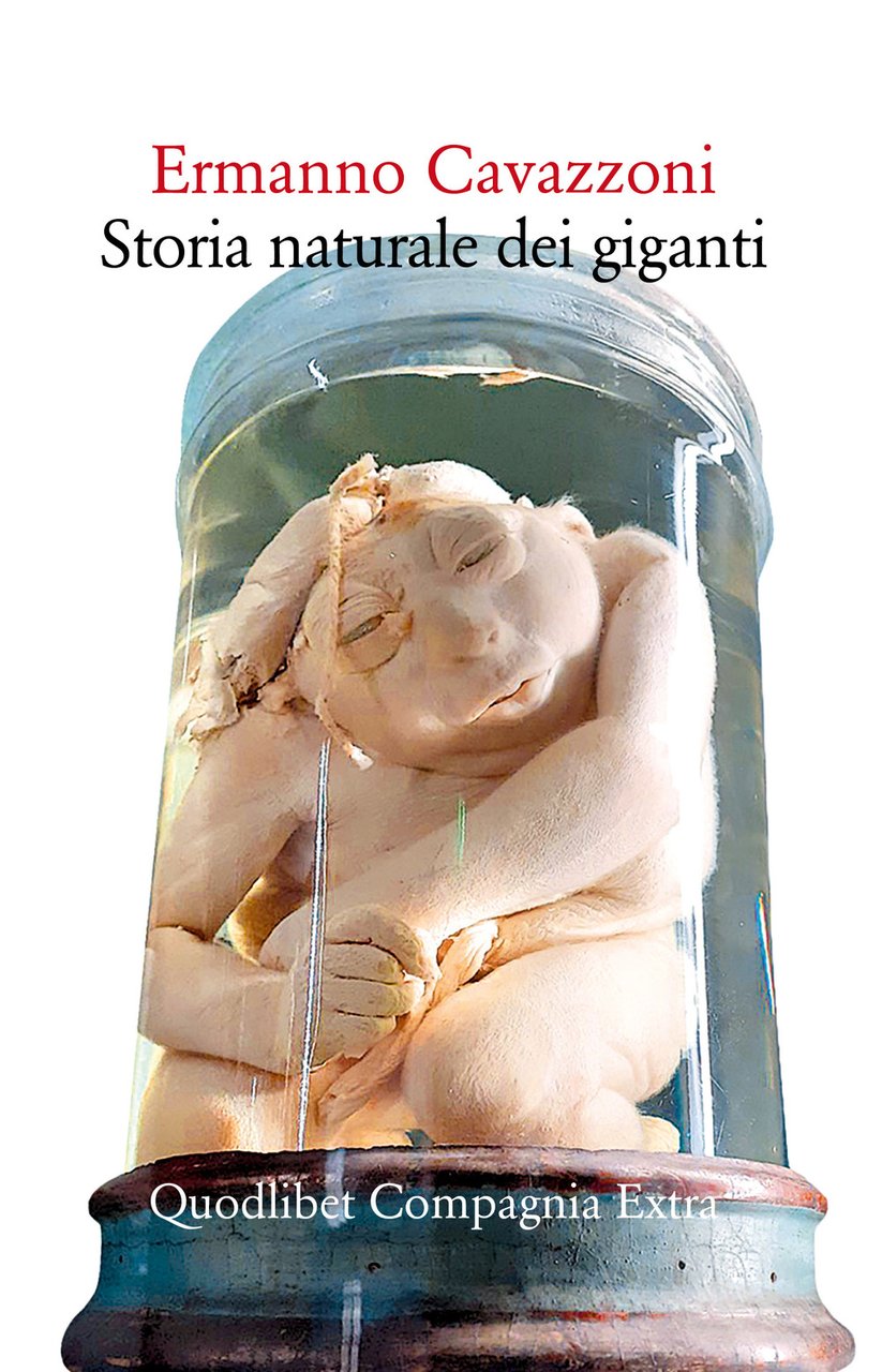 Storia naturale dei giganti