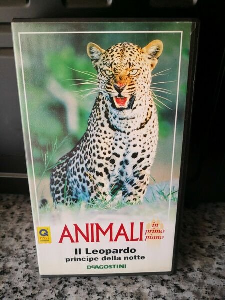 Animali - Il Leopardo principe della notte - DeAgostini - …