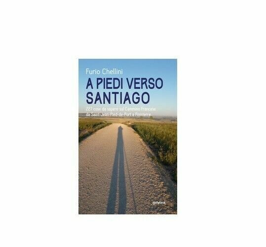 A piedi verso Santiago - Furio Chellini, 2020, Goware