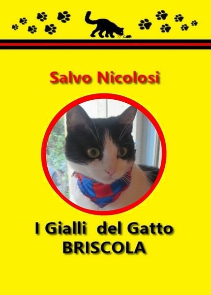 I gialli del gatto briscola di Salvo Nicolosi, 2019, Youcanprint