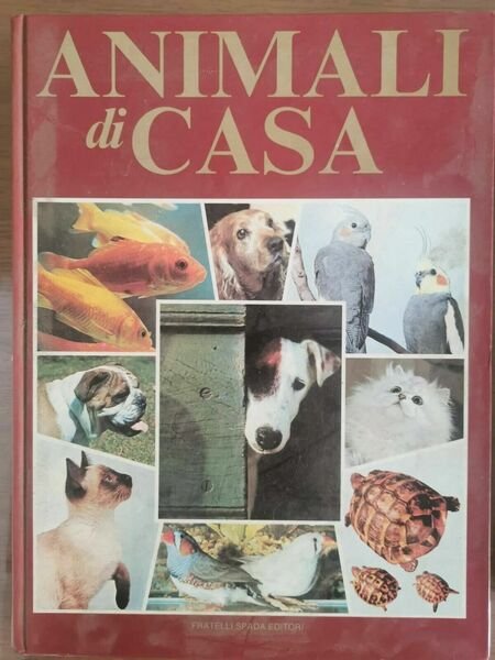 Animali di casa - AA. VV. - Fratelli Spada - …