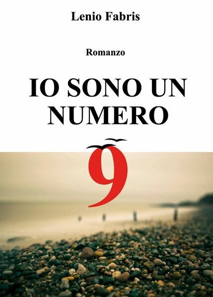 Io sono un numero 9 di Lenio Fabris, 2018, Youcanprint