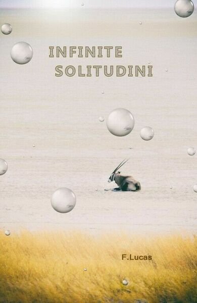 Infinite Solitudini di F. Lucas, 2018, Youcanprint