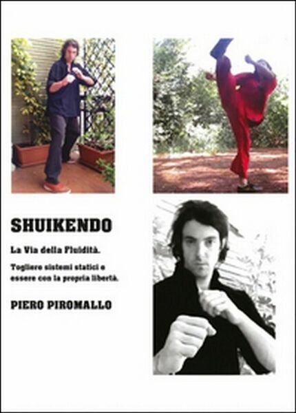 Shuikendo metodo di combattimento della fluidità di Piero Piromallo, 2016, … | Immagine principale