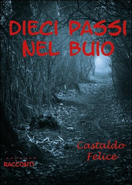 Dieci passi nel buio di Felice Castaldo, 2016, Youcanprint | Immagine principale