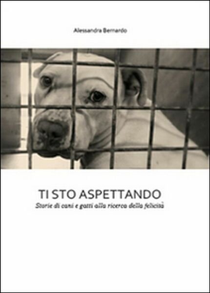 Ti sto aspettando di Alessandra Bernardo, 2015, Youcanprint