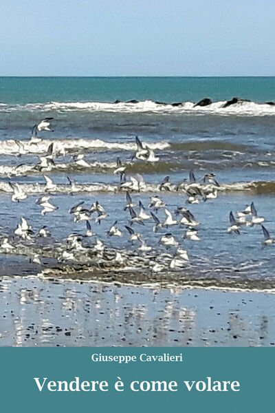 Vendere è come volare di Giuseppe Cavalieri, 2020, Youcanprint