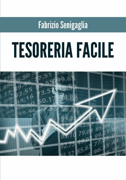 Tesoreria facile di Fabrizio Senigaglia, 2019, Youcanprint