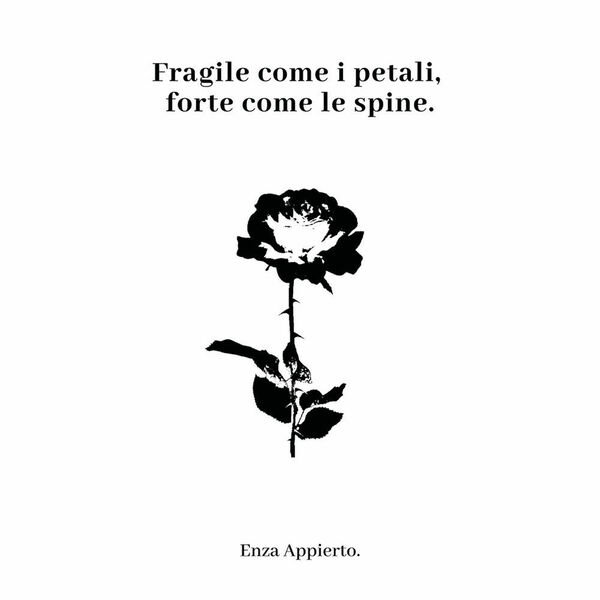 Fragile come i petali, forte come le spine di Enza …