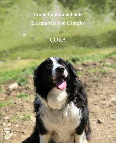 Come l?ombra del Sole (La mia vita con Giorgio) di …