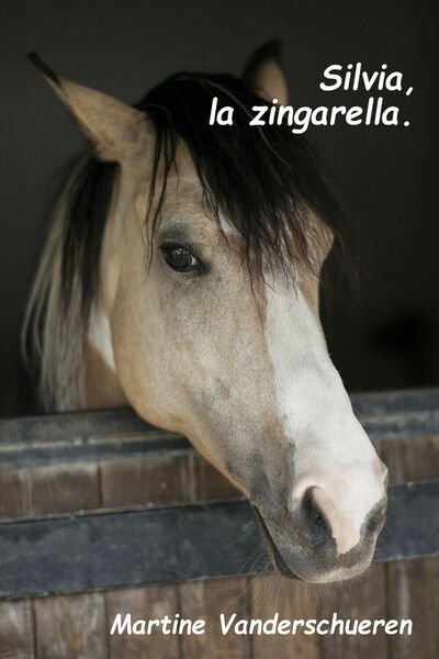 Silvia la zingarella di Martine Vanderschueren, 2020, Youcanprint