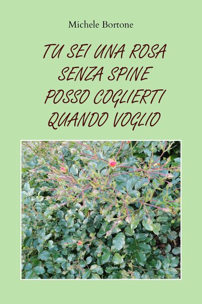 Tu sei una rosa senza spine posso coglierti quando voglio …