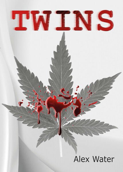 Twins di Alex Water, 2021, Youcanprint