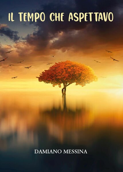 Il tempo che aspettavo di Damiano Messina, 2021, Youcanprint
