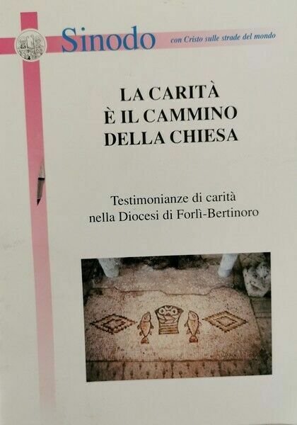 La carità è il cammino della chiesa - ER | Immagine principale
