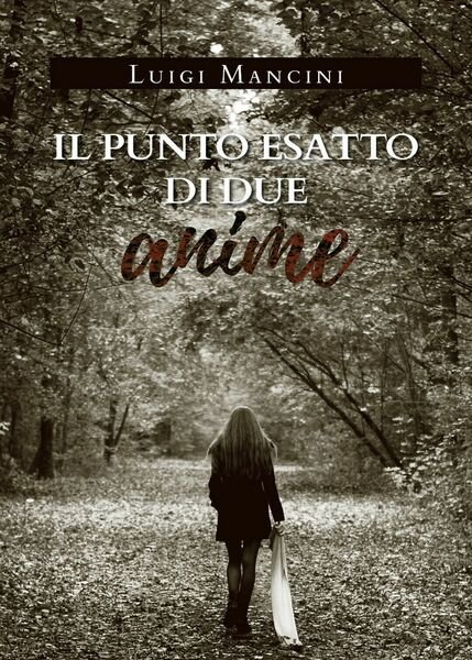 Il punto esatto di due anime di Luigi Mancini, 2019, …