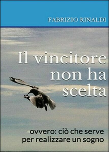 Il vincitore non ha scelta - Fabrizio Rinaldi, 2015, Youcanprint