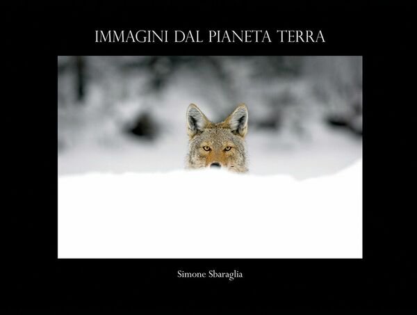 Immagini dal Pianeta Terra di Simone Sbaraglia, 2018, Youcanprint | Immagine principale