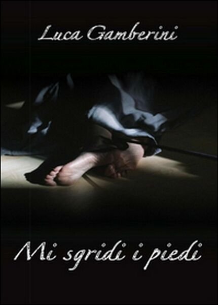 Mi sgridi i piedi di Luca Gamberini, 2016, Youcanprint