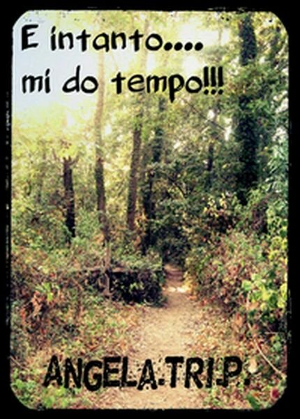 E intanto. mi do tempo di Angela Tri. P., 2015, …