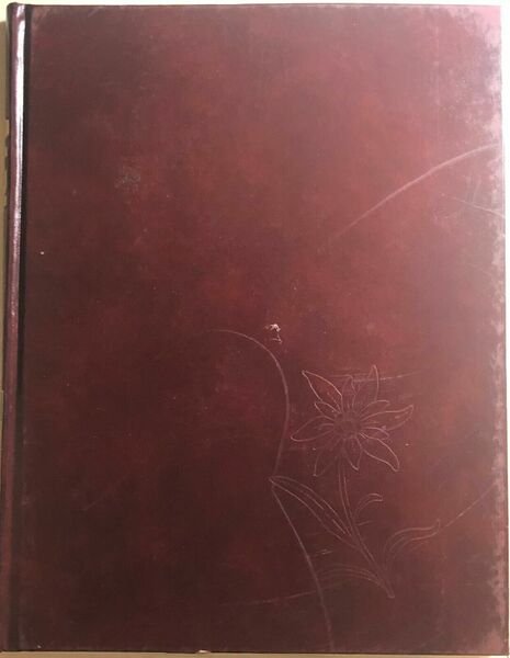 Conoscere le alpi vol.6 di Aa.vv., 1993, Istituto Geografico Deagostini