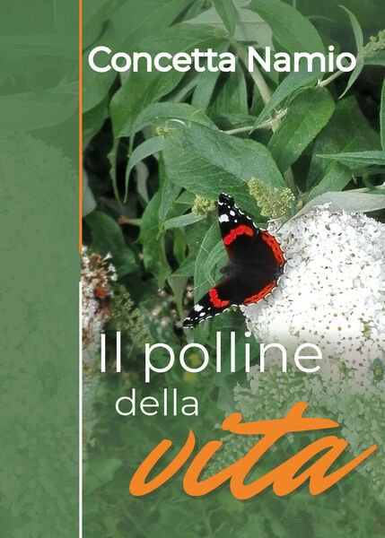 Il polline della vita di Concetta Namio, 2019, Youcanprint