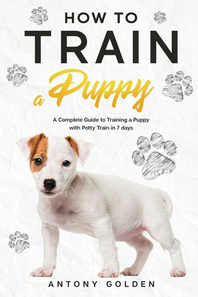 How to Train a Puppy di Antony Golden, 2021, Youcanprint