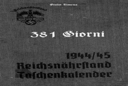 381 giorni di Limena Giulio, 2022, Youcanprint