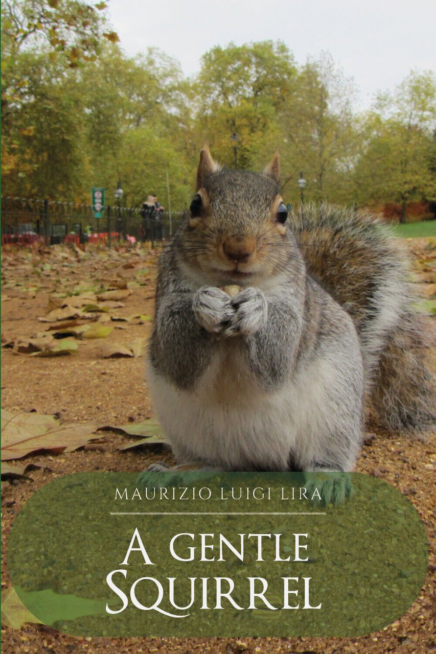 A Gentle Squirrel di Maurizio Luigi Lira, 2021, Youcanprint