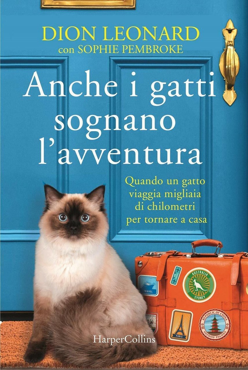 Anche i gatti sognano l'avventura - Dion Leonard, Sophie Pembroke …