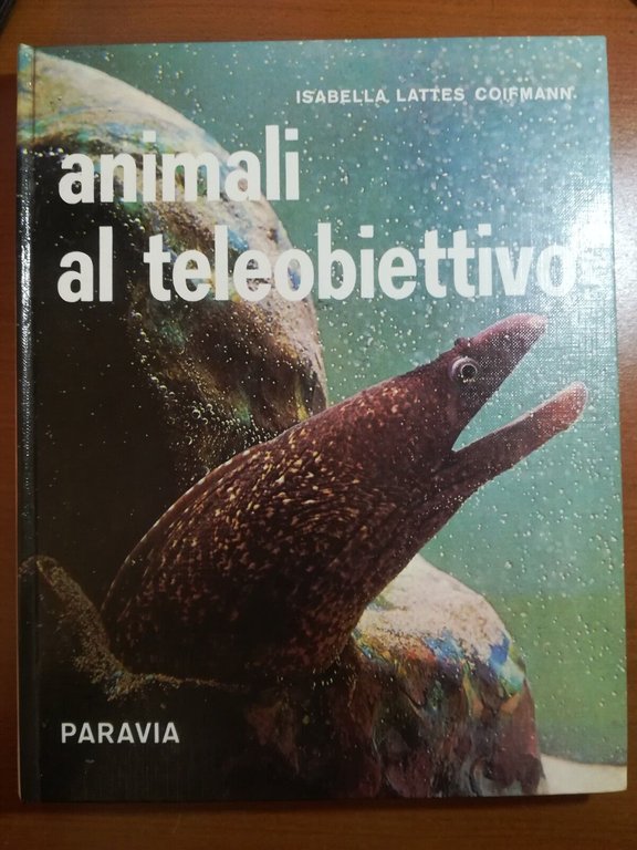 Animali al teleobiettivo - Isabella Lattes Coifmann - Paravia - … | Immagine Gallery 2