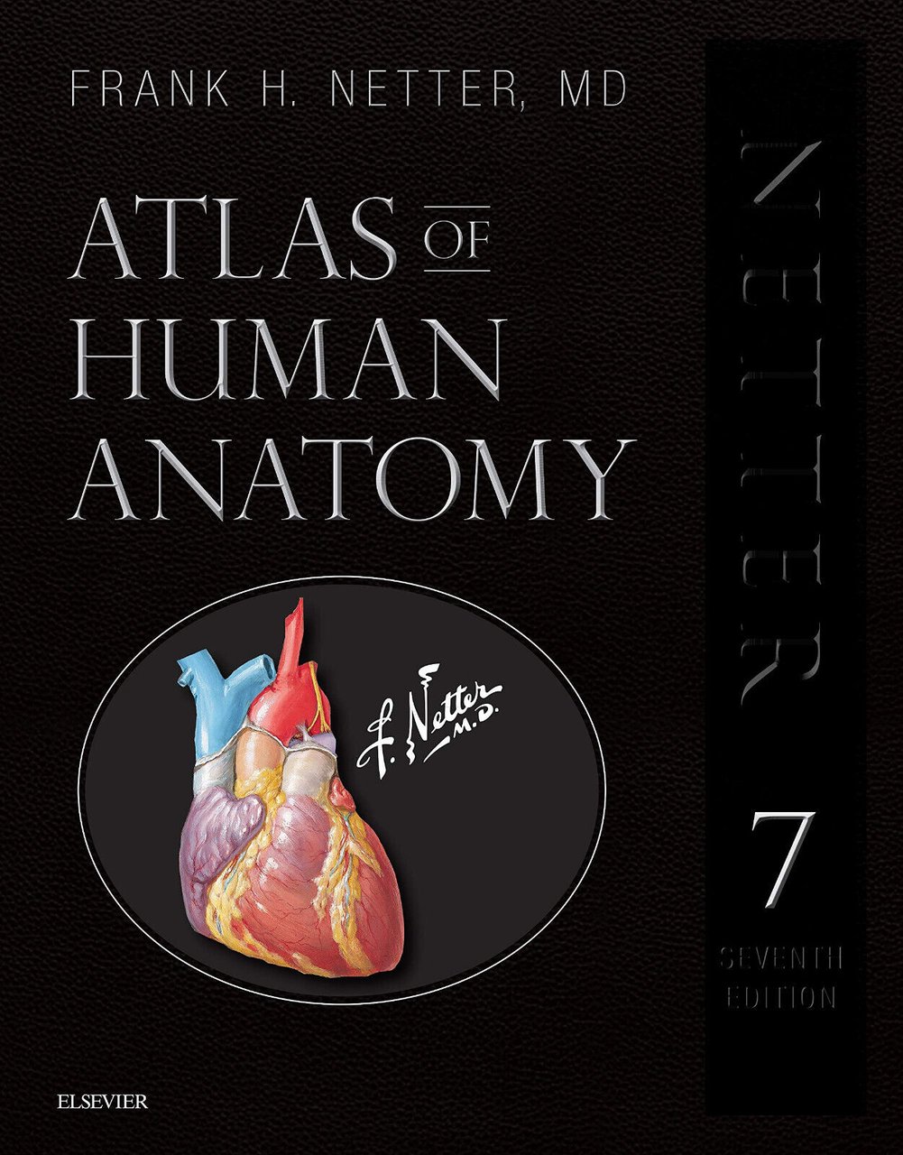 Atlas of Human Anatomy - Frank H. Netter - Elsevier, …
