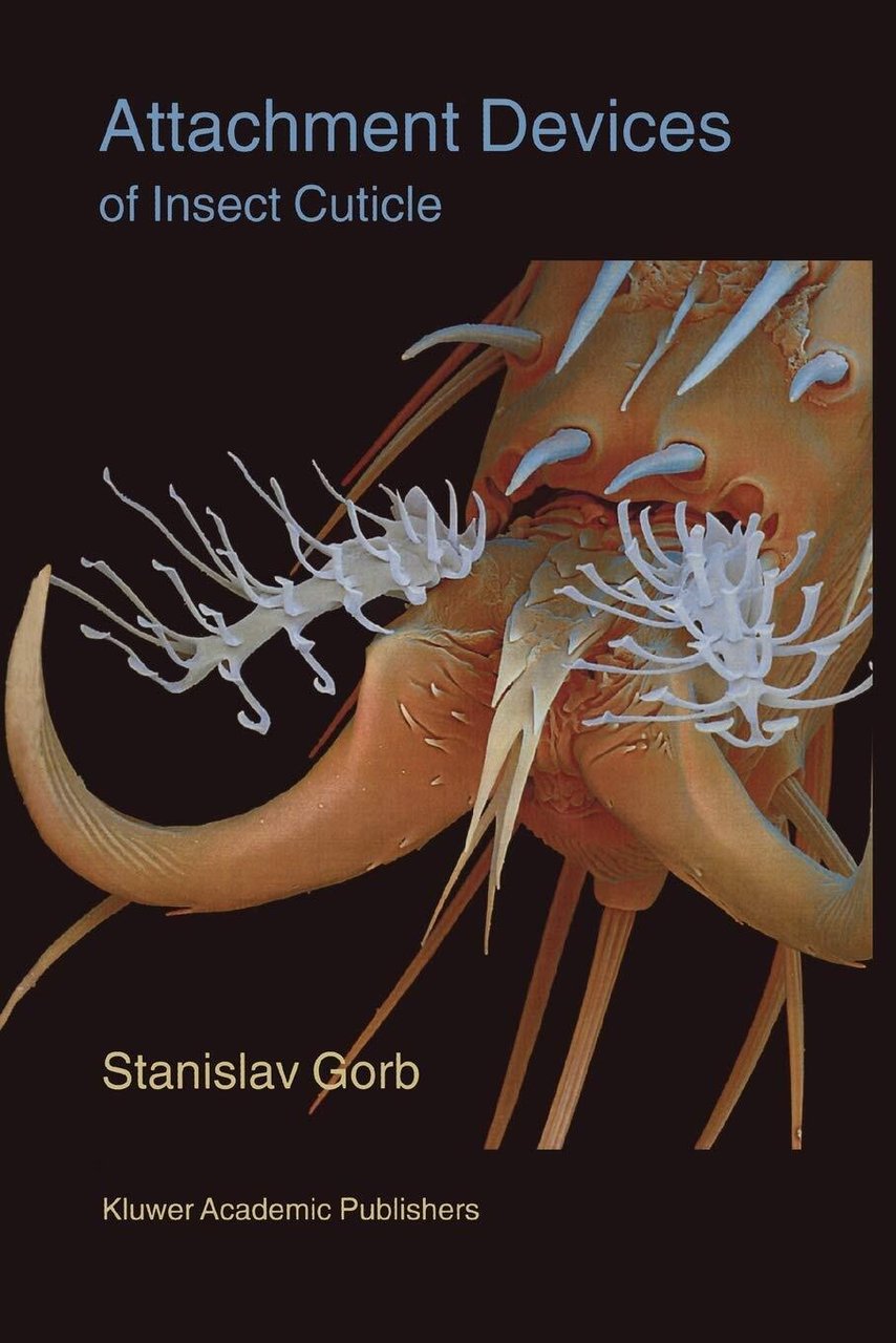 Attachment Devices of Insect Cuticle - Stanislav S. N. Gorb …