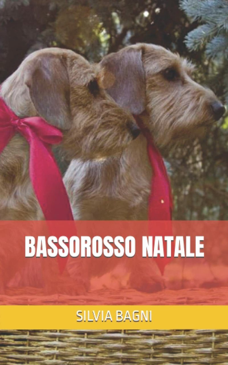 Bassorosso Natale di Silvia Bagni, 2021, Indipendently Published