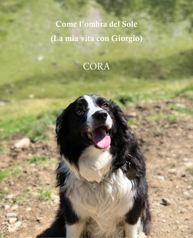 Come l?ombra del Sole (La mia vita con Giorgio) di …