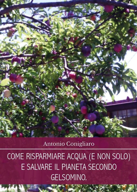 Come risparmiare acqua (e non solo) e salvare il pianeta …