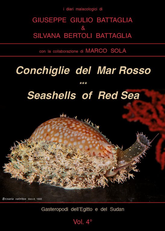 Conchiglie del Mar Rosso-Red Sea?s seashelles. Ediz. bilingue di Giuseppe …