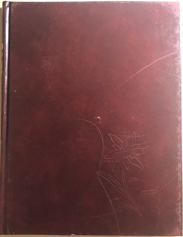 Conoscere le alpi vol.6 di Aa.vv., 1993, Istituto Geografico Deagostini