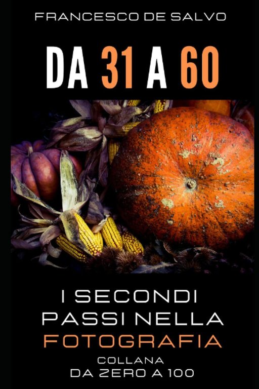 Da 31 a 60: I secondi passi nella Fotografia di Francesco De Salvo, 2022, Indi