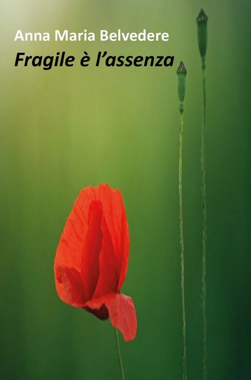 Fragile è l?assenza di Anna Maria Belvedere, 2018, Youcanprint