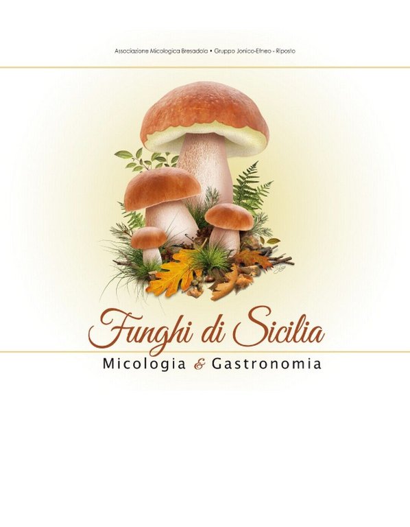 FUNGHI DI SICILIA di Laura La Spina, 2020, Edizioni La …