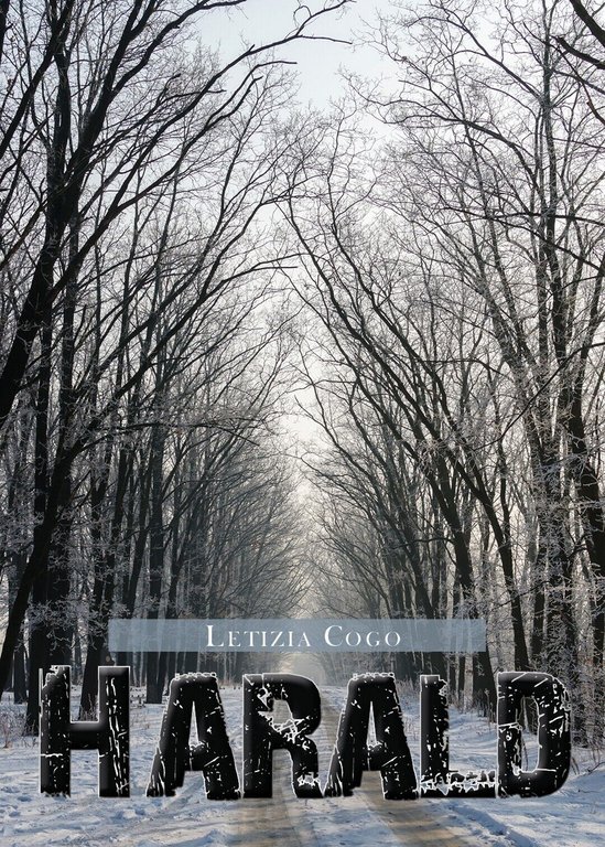 Harald di Letizia Cogo, 2020, Youcanprint