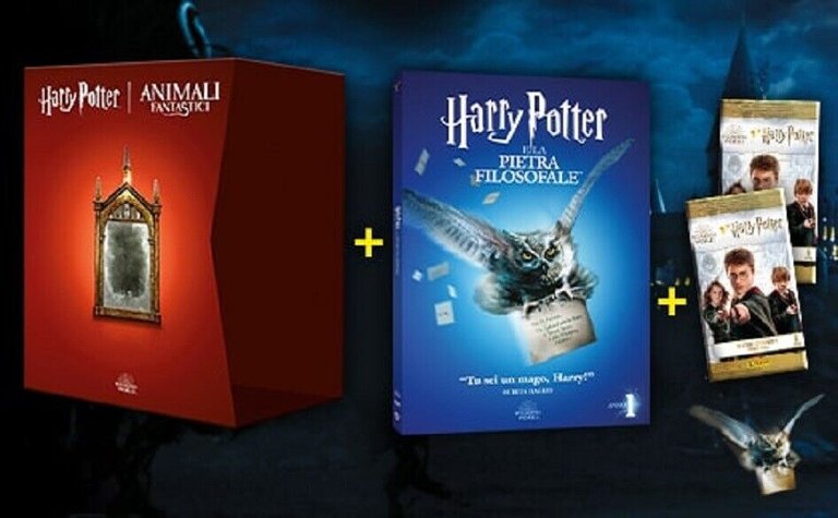 HARRY POTTER E LA PIETRA FILOSOFALE 1° DVD + cofanetto …